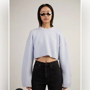 ISO: Oak and Fort cropped blue sweater